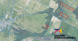 Grunt Leśny w Dąbrowie